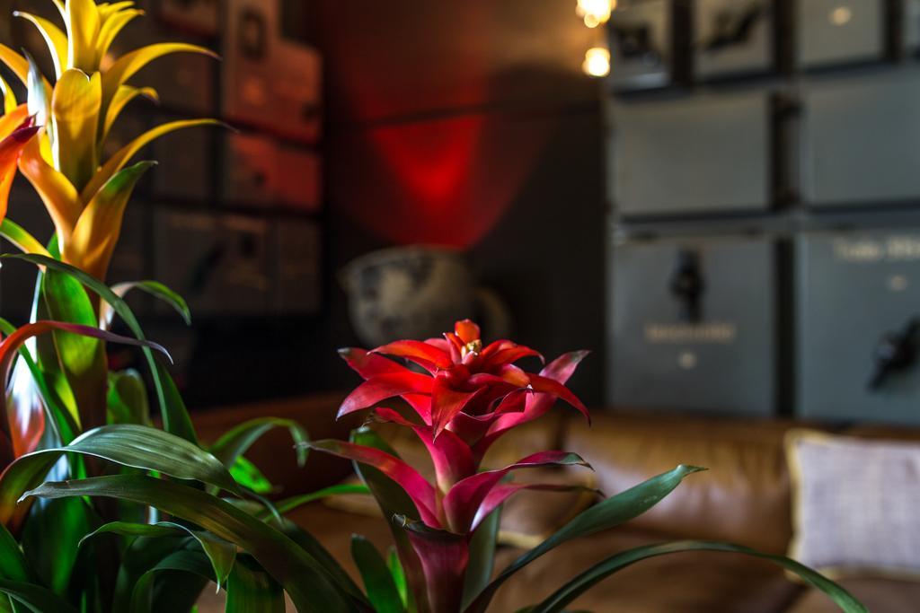 Speicher7 Hotel Mannheim Kültér fotó